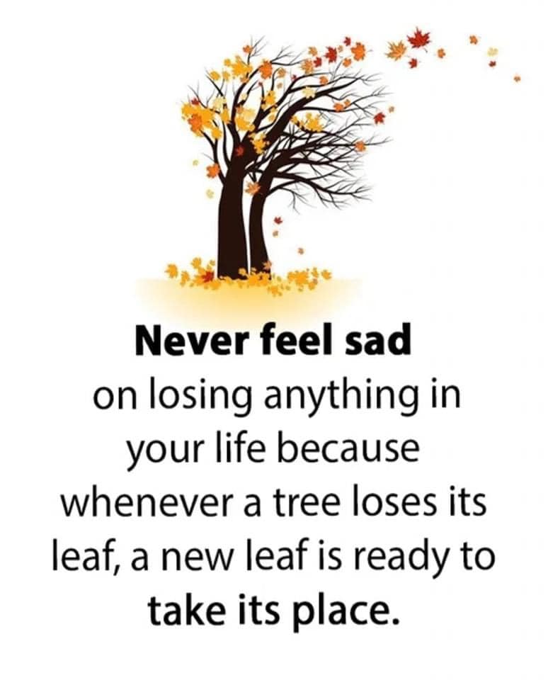 Never Feel Sad-Free Motivation Quotes Download-Stumbit Quotes
